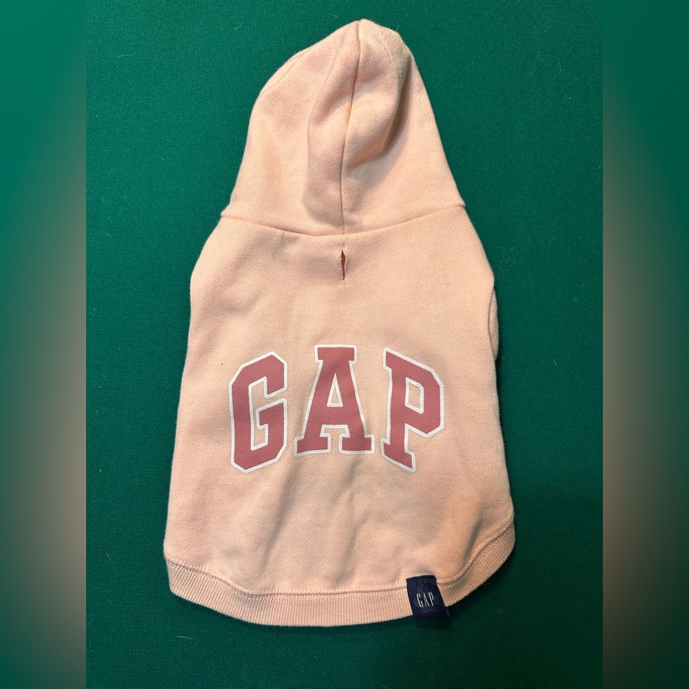 Gap Dog Hoodie
